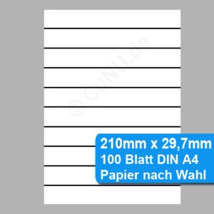 perforiertes Papier 210mm x 29,7mm